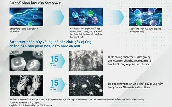 Cơ chế phân hủy của công nghệ Streamer trong quá trình xử lý không khí